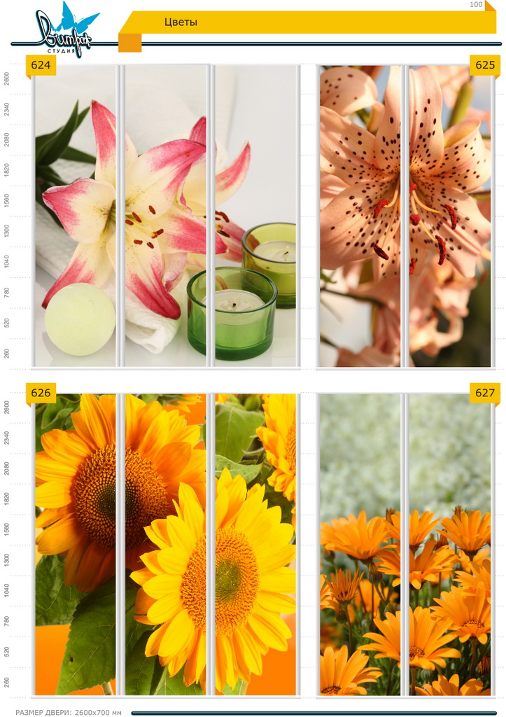 Изображение фотопечати для шкафов-купе, стр.100, цветы
